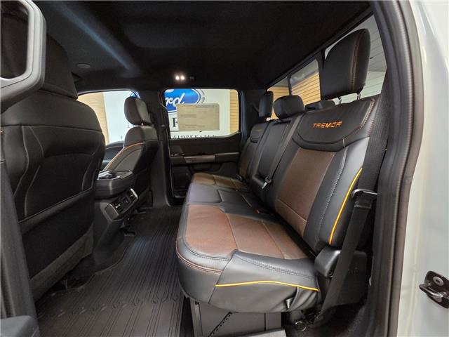 2025 Ford F-150 Tremor (Stk: NC52296) in Shellbrook - Image 19 of 22