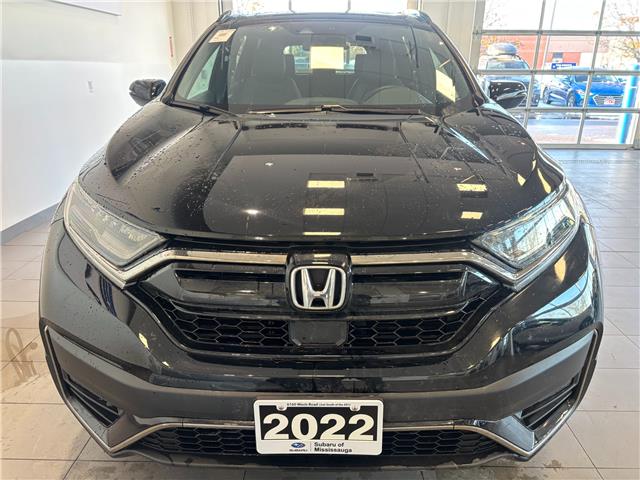 2022 Honda CR-V Black Edition (Stk: 250811A) in Mississauga - Image 2 of 18
