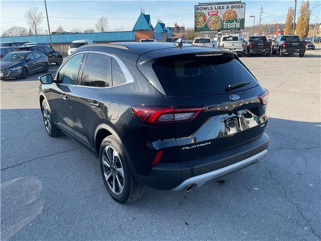 2023 Ford Escape Platinum (Stk: 251426) in Kingston - Image 5 of 33