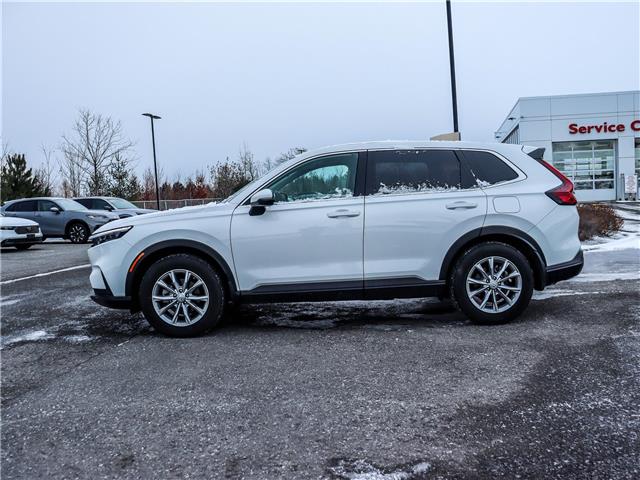 2024 Honda CR-V EX-L (Stk: B2346) in Ottawa - Image 5 of 29