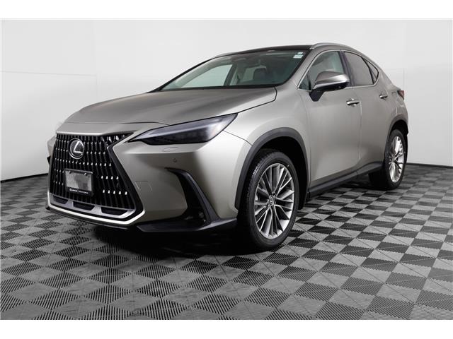 2026 Lexus NX 350