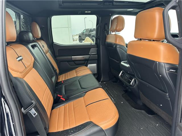 2021 Ford F-150 Platinum (Stk: U65974) in Hague - Image 15 of 16