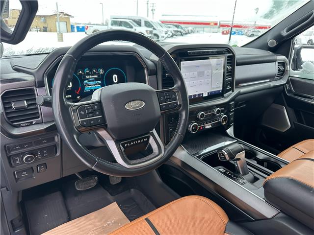 2021 Ford F-150 Platinum (Stk: U65974) in Hague - Image 11 of 16