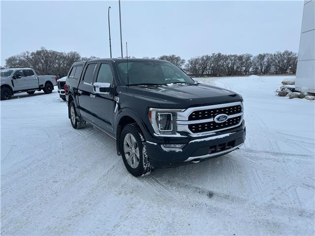 2021 Ford F-150 Platinum (Stk: U65974) in Hague - Image 2 of 16