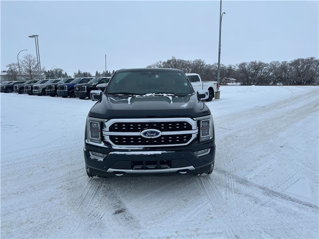 2021 Ford F-150 Platinum (Stk: U65974) in Hague - Image 3 of 16