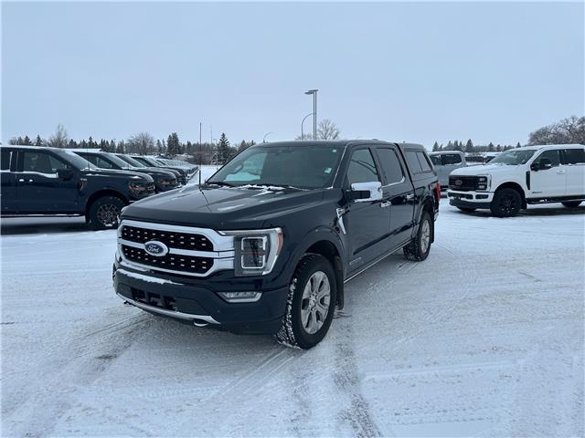 2021 Ford F-150 Platinum (Stk: U65974) in Hague - Image 4 of 16