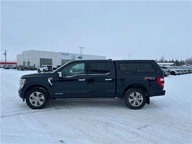 2021 Ford F-150 Platinum (Stk: U65974) in Hague - Image 5 of 16