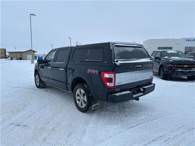 2021 Ford F-150 Platinum (Stk: U65974) in Hague - Image 6 of 16
