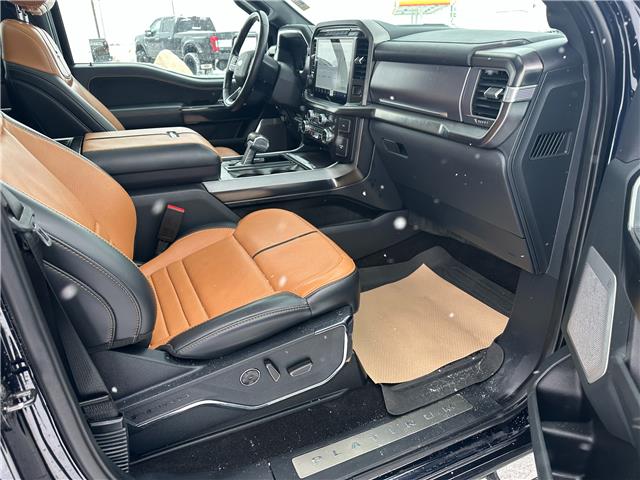 2021 Ford F-150 Platinum (Stk: U65974) in Hague - Image 13 of 16