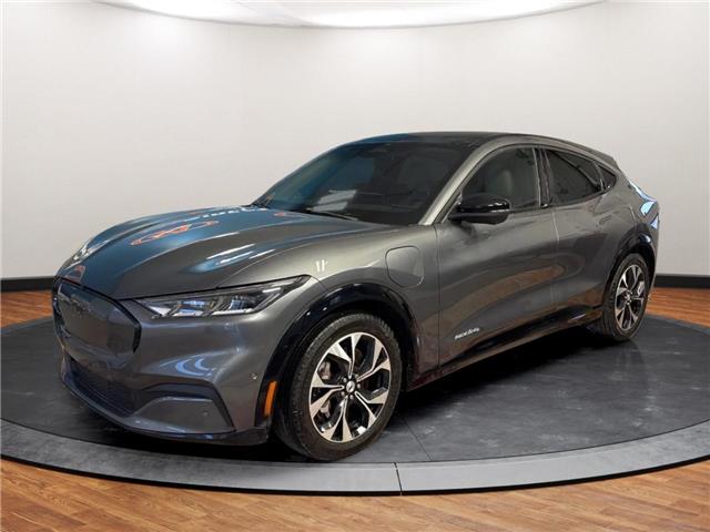 2021 Ford Mustang Mach-E Premium (Stk: A41205) in Lower Sackville - Image 1 of 25
