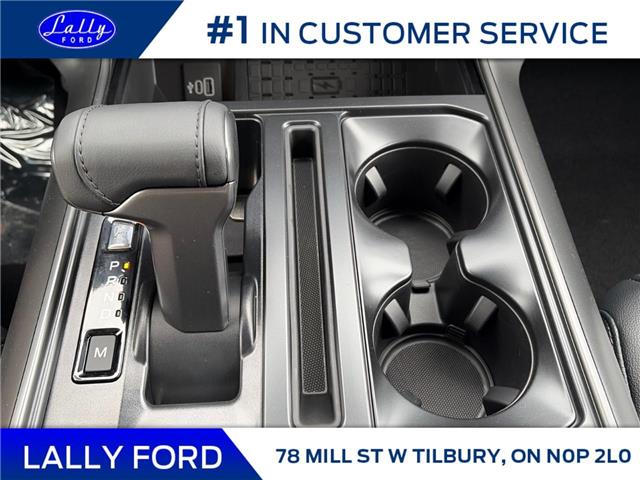 2025 Ford F-150 Lariat (Stk: LFFF01413) in Tilbury - Image 14 of 15