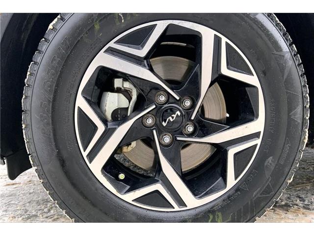 2023 Kia Sportage LX (Stk: TSP60901) in Sherwood Park - Image 8 of 29