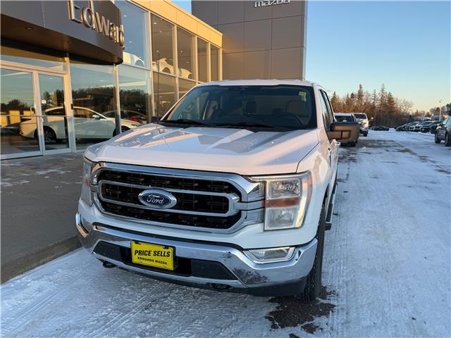 2022 Ford F-150 XLT (Stk: 24689) in Pembroke - Image 5 of 29
