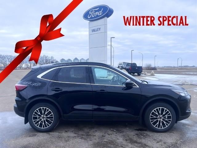 2025 Ford Escape PHEV (Stk: S66663) in Hague - Image 1 of 16