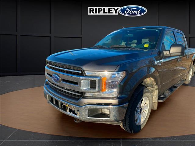 2019 Ford F-150 XLT (Stk: 25448C) in Melfort - Image 1 of 8