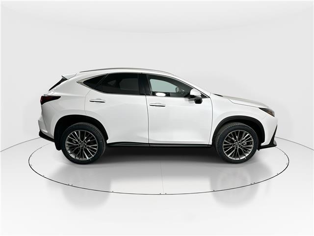 2026 Lexus NX 350 Base (Stk: 15105371) in Richmond Hill - Image 8 of 19