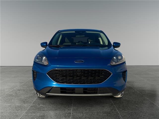 2021 Ford Escape SE (Stk: P40324C) in Saskatoon - Image 8 of 15