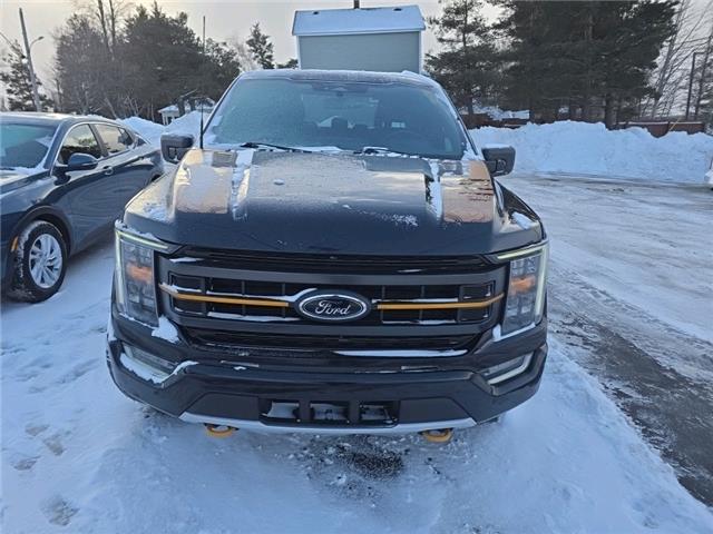 2022 Ford F-150 Tremor (Stk: 22776A) in Grand Falls-Windsor - Image 2 of 11