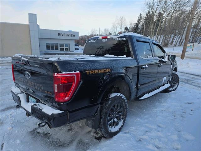 2022 Ford F-150 Tremor (Stk: 22776A) in Grand Falls-Windsor - Image 3 of 11