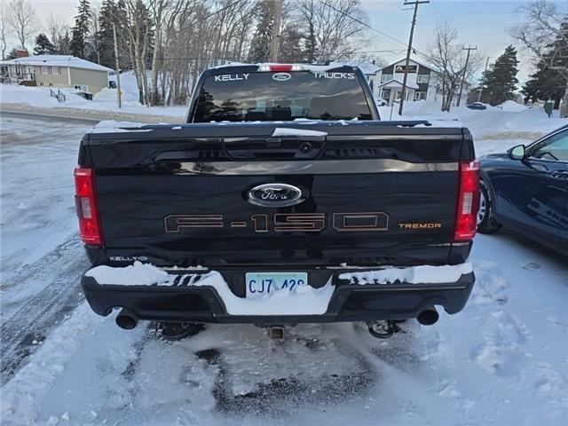 2022 Ford F-150 Tremor (Stk: 22776A) in Grand Falls-Windsor - Image 4 of 11