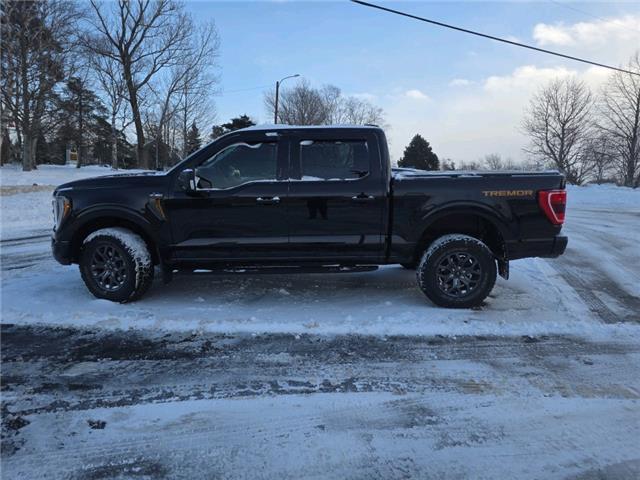 2022 Ford F-150 Tremor (Stk: 22776A) in Grand Falls-Windsor - Image 5 of 11