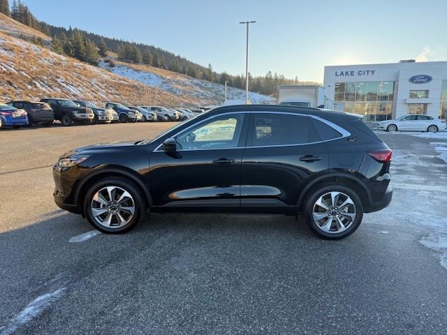 2024 Ford Escape Platinum (Stk: 5P026) in Williams Lake - Image 2 of 13