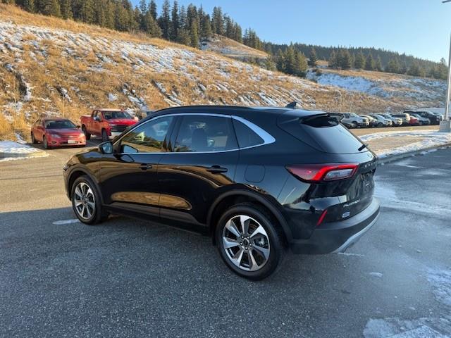 2024 Ford Escape Platinum (Stk: 5P026) in Williams Lake - Image 3 of 13