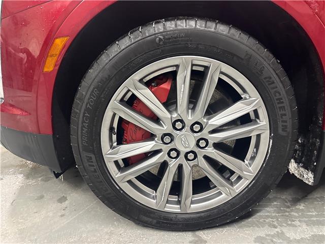 2023 Cadillac XT5 Sport (Stk: 26340A) in Port Hope - Image 5 of 21