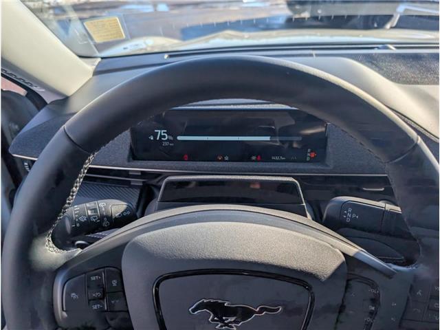 2025 Ford Mustang Mach-E Premium (Stk: 19375) in Calgary - Image 14 of 25