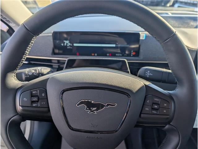 2025 Ford Mustang Mach-E Premium (Stk: 19375) in Calgary - Image 25 of 25