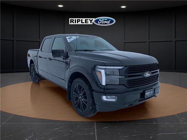 2024 Ford F-150 Platinum (Stk: 25476A) in Melfort - Image 4 of 18