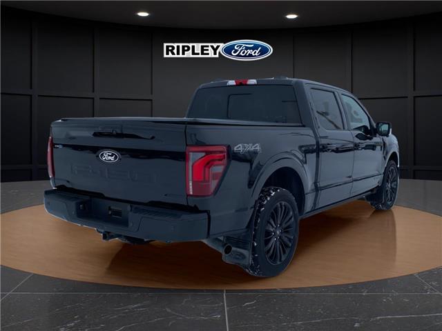2024 Ford F-150 Platinum (Stk: 25476A) in Melfort - Image 6 of 18