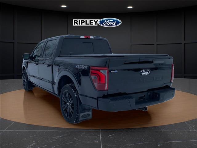 2024 Ford F-150 Platinum (Stk: 25476A) in Melfort - Image 8 of 18