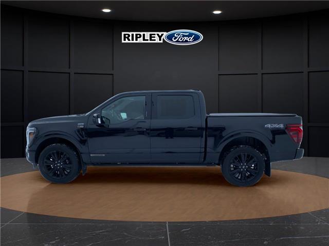 2024 Ford F-150 Platinum (Stk: 25476A) in Melfort - Image 9 of 18