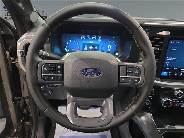 2025 Ford F-150 Lariat (Stk: S9892) in ROSETOWN - Image 14 of 17