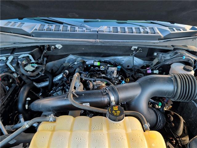 2019 Ford F-150  (Stk: F1262A) in Miramichi - Image 13 of 13