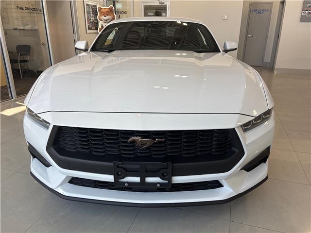 2024 Ford Mustang EcoBoost Premium (Stk: 25156A) in Espanola - Image 7 of 15