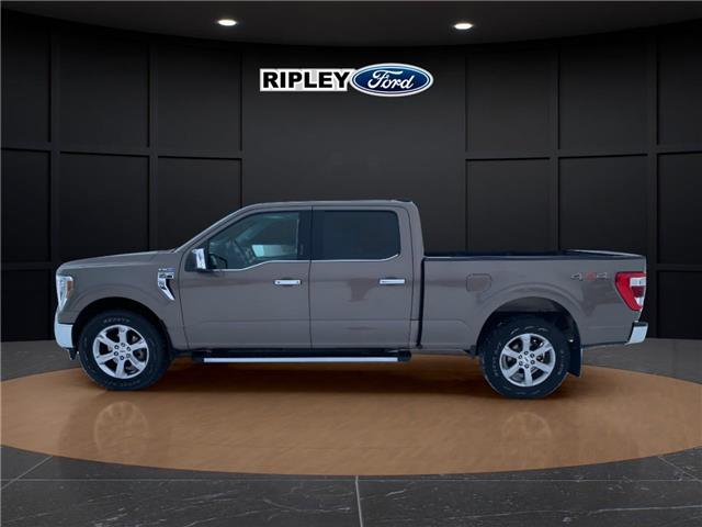 2021 Ford F-150 Lariat (Stk: 25264A) in Melfort - Image 9 of 19