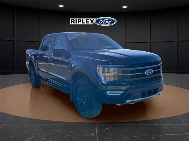 2023 Ford F-150 Tremor (Stk: 25349A) in Melfort - Image 4 of 22
