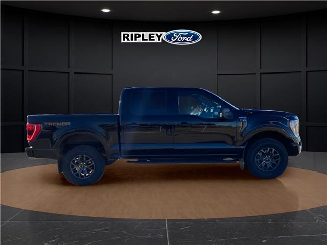2023 Ford F-150 Tremor (Stk: 25349A) in Melfort - Image 5 of 22
