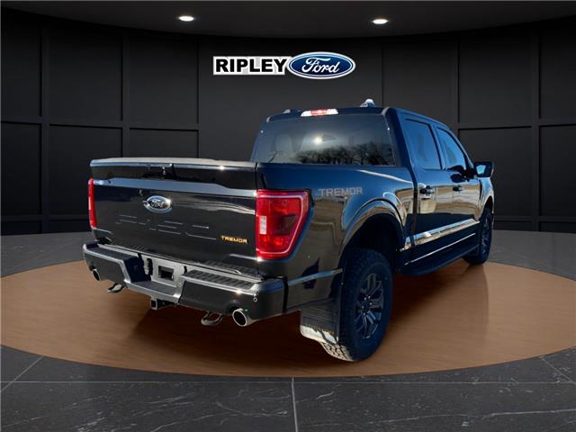 2023 Ford F-150 Tremor (Stk: 25349A) in Melfort - Image 6 of 22