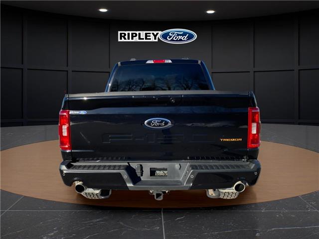 2023 Ford F-150 Tremor (Stk: 25349A) in Melfort - Image 7 of 22
