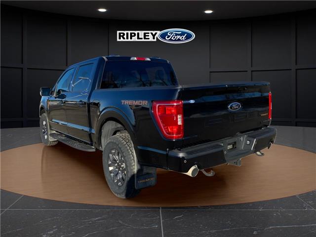2023 Ford F-150 Tremor (Stk: 25349A) in Melfort - Image 8 of 22