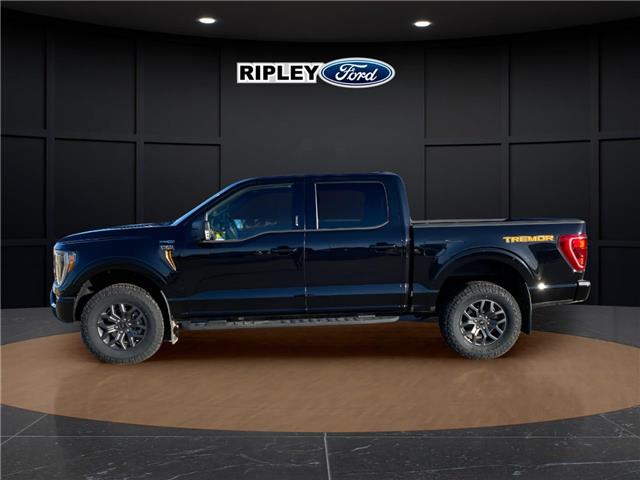 2023 Ford F-150 Tremor (Stk: 25349A) in Melfort - Image 10 of 22