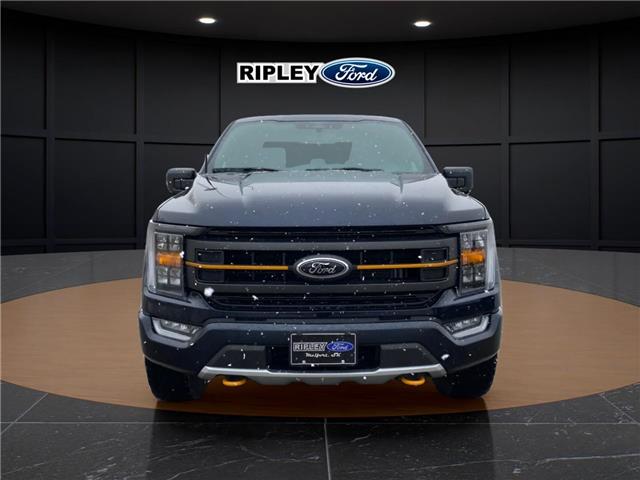 2023 Ford F-150 Tremor (Stk: 25144A) in Melfort - Image 2 of 22
