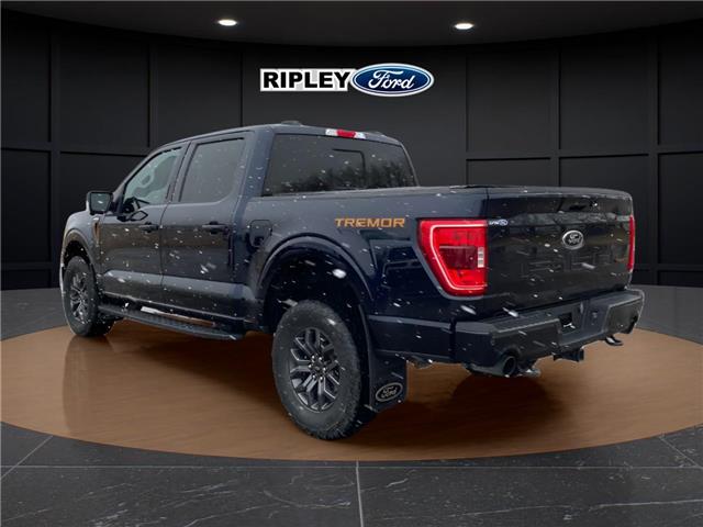 2023 Ford F-150 Tremor (Stk: 25144A) in Melfort - Image 8 of 22