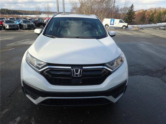 2020 Honda CR-V Sport (Stk: 22849A) in Grand Falls-Windsor - Image 2 of 12