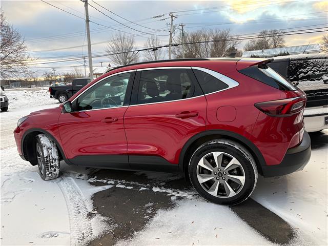 2024 Ford Escape Platinum in Sussex - Image 3 of 16