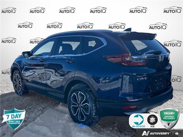 2022 Honda CR-V EX-L (Stk: 25C306AX) in Tillsonburg - Image 4 of 23