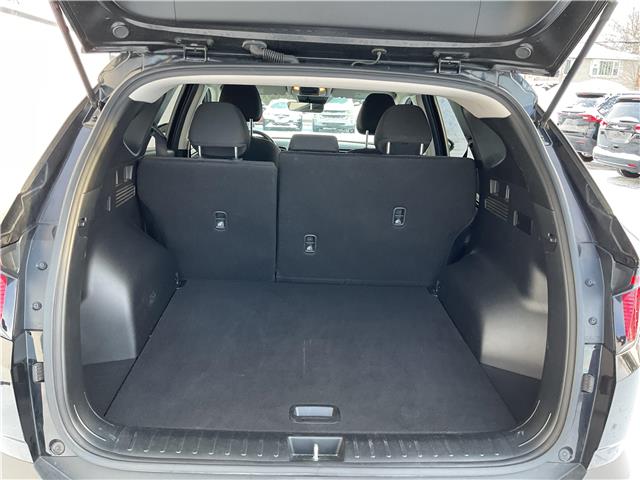 2024 Hyundai Tucson  (Stk: 251627) in Ottawa - Image 20 of 21